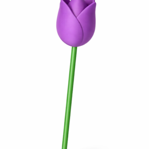 Fioletowy Tulipan