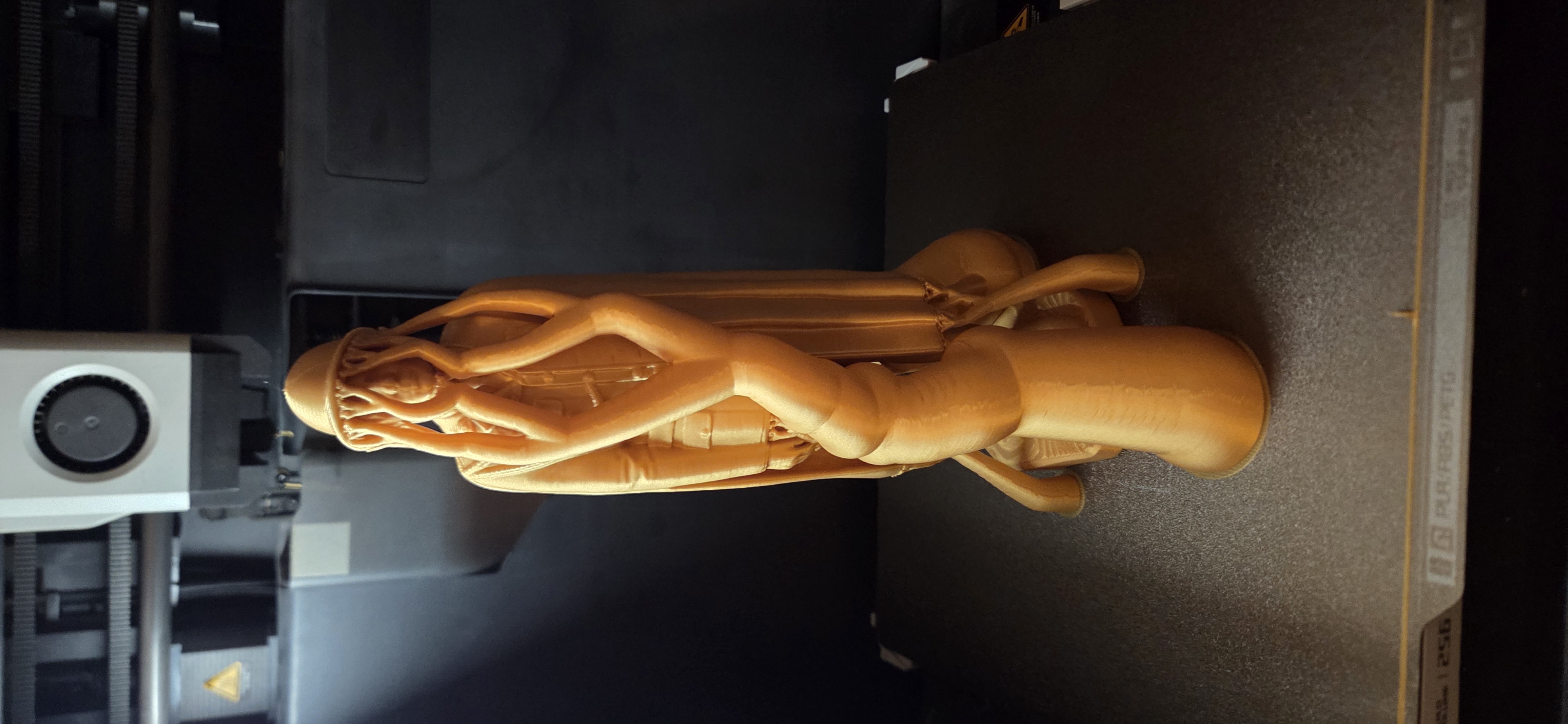 Wydruk 3D 269
